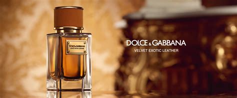 dolce gabbana velvet exotic leather prix|dolce and gabbana unisex fragrance.